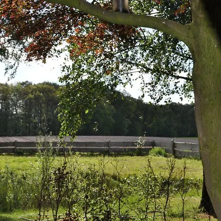 Bloemers Woold